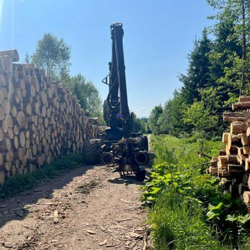 Harvester Einsatz